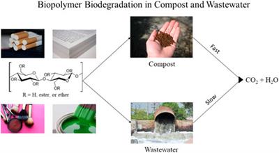 Predicting environmental biodegradability using initial rates: mineralization of cellulose, guar and their semisynthetic derivatives in wastewater and soil